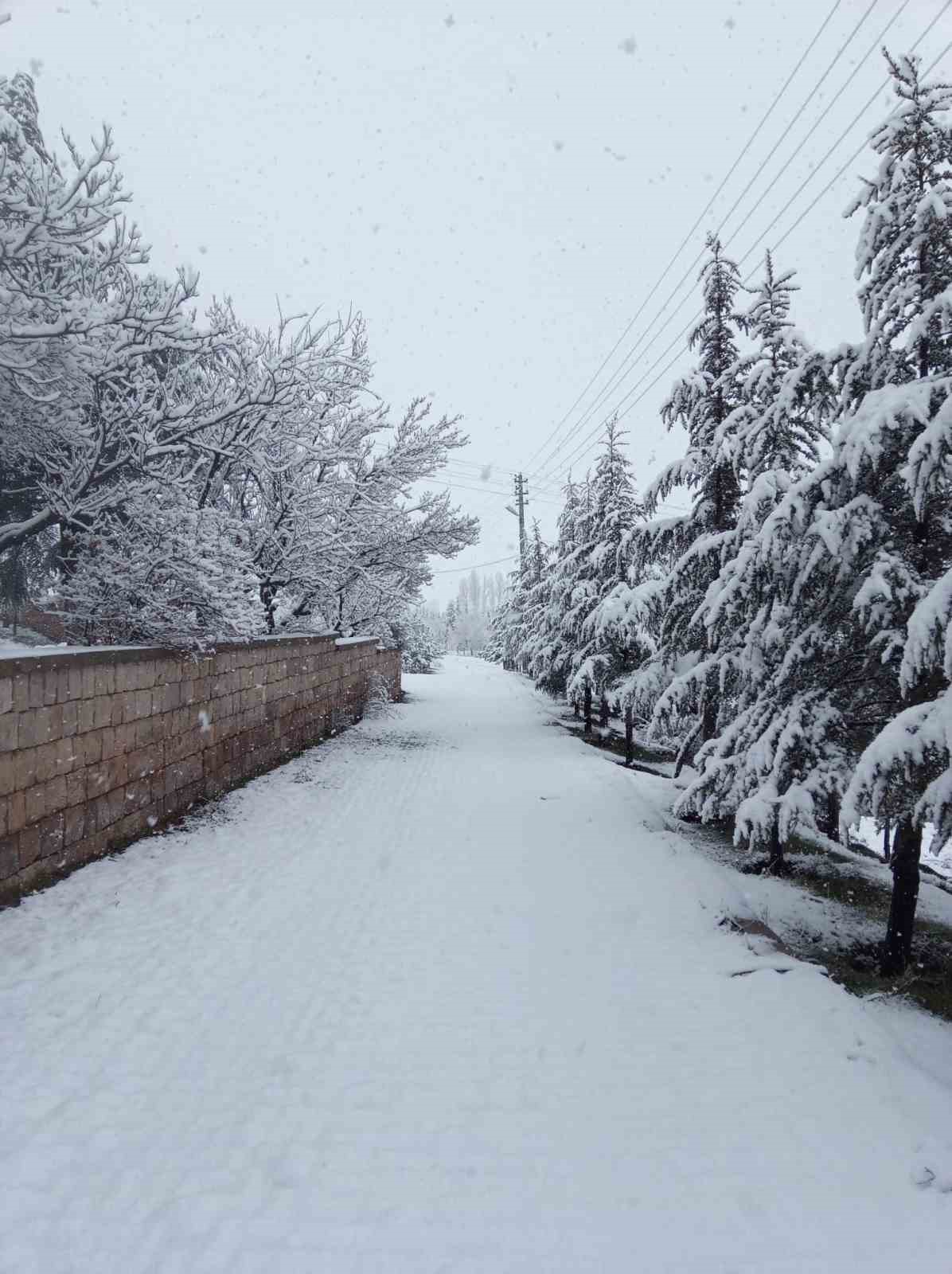 Nisan karı mahalleyi beyaza bürüdü
