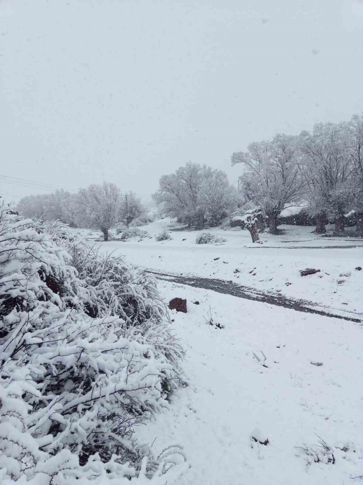 Nisan karı mahalleyi beyaza bürüdü
