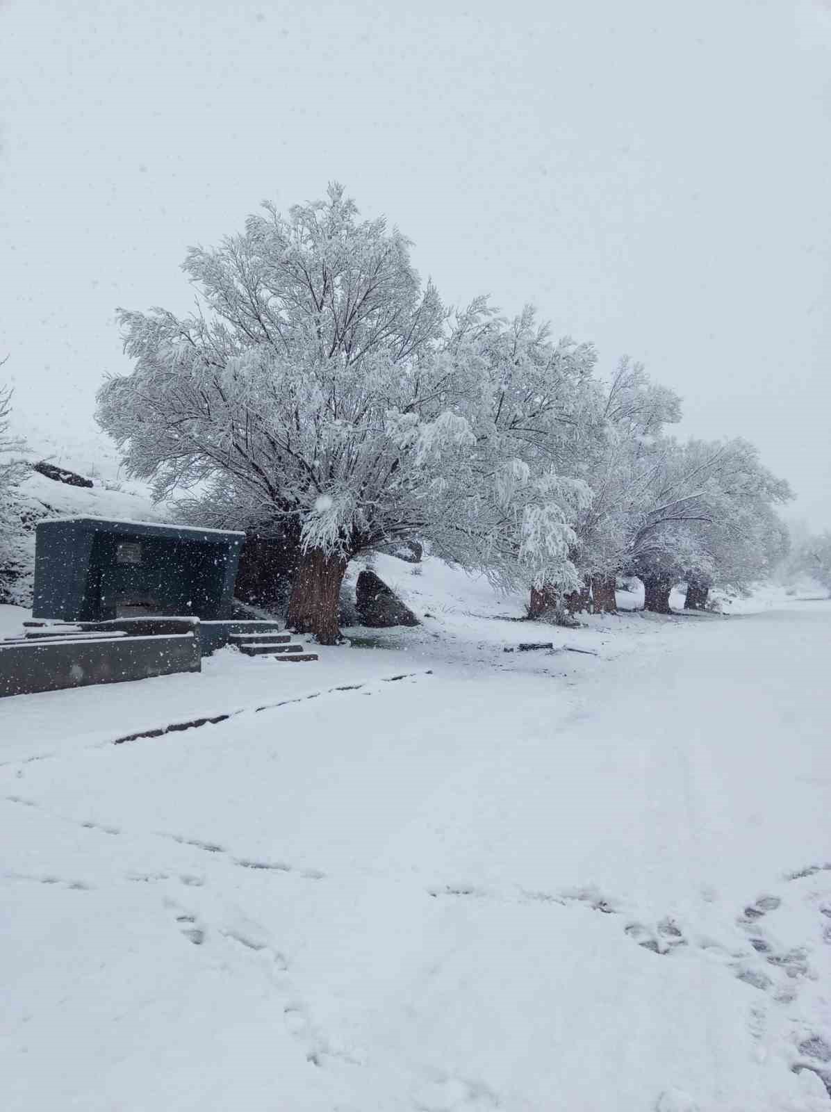 Nisan karı mahalleyi beyaza bürüdü
