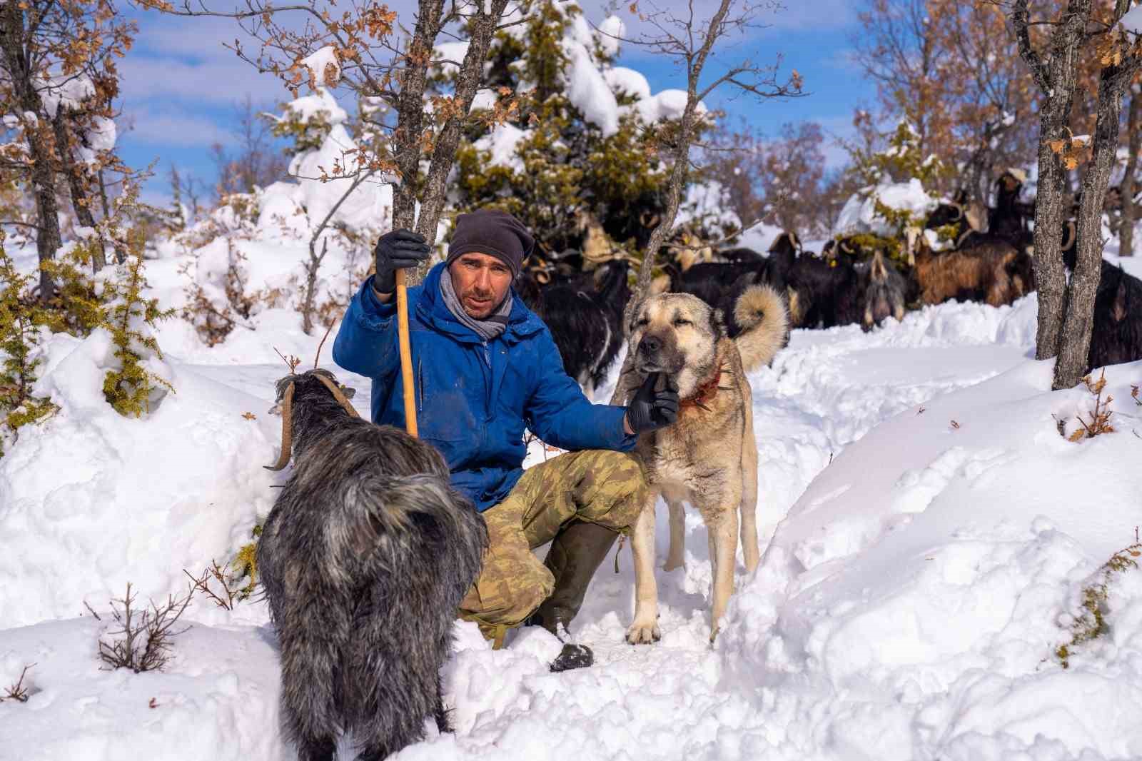 Öldürülen köpeğine otopsi yaptırdı, sorumluların bulunmasını istiyor
