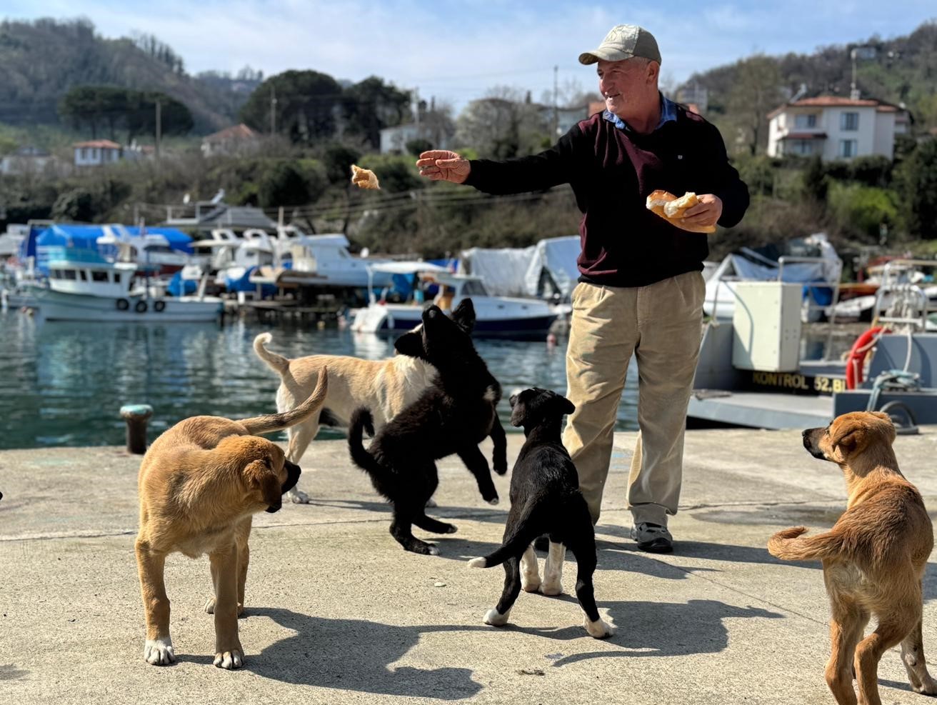 Olta tutkunu vatandaştan sokak köpeklerine şefkat
