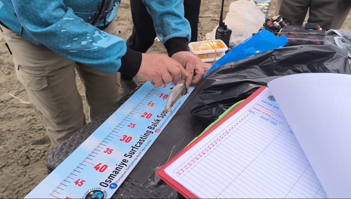 Oltalar, birincilik için denize atıldı
