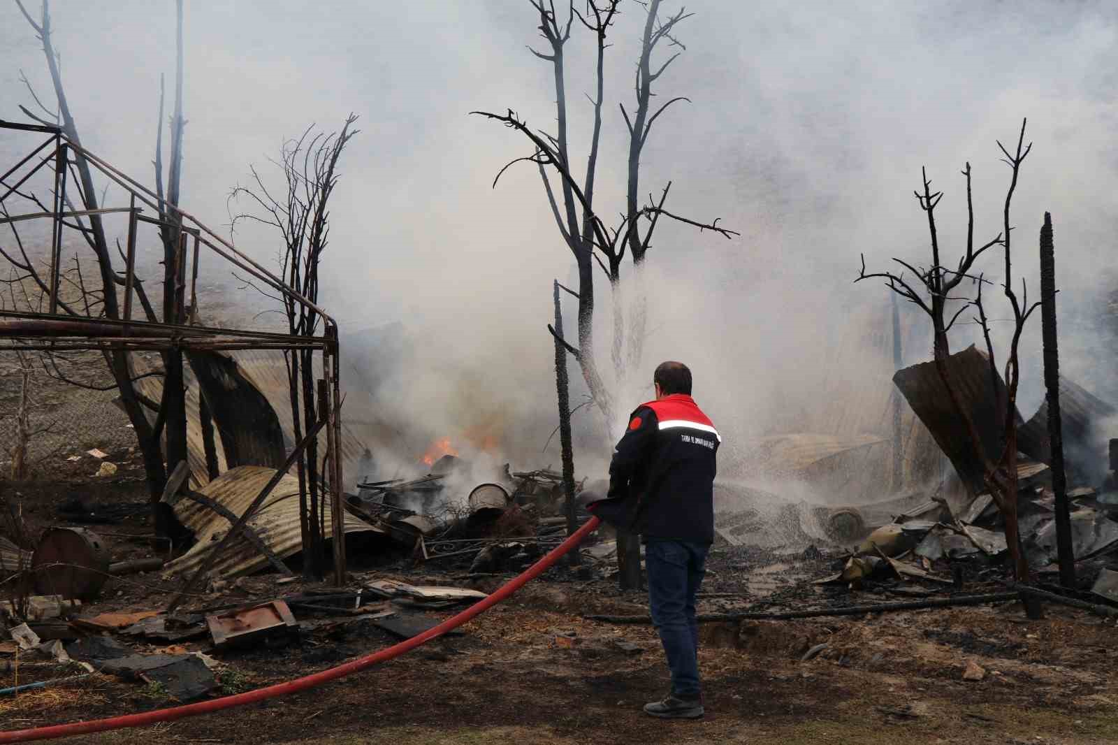 Oltu’da korkutan yangın: Arı kovanları yandı
