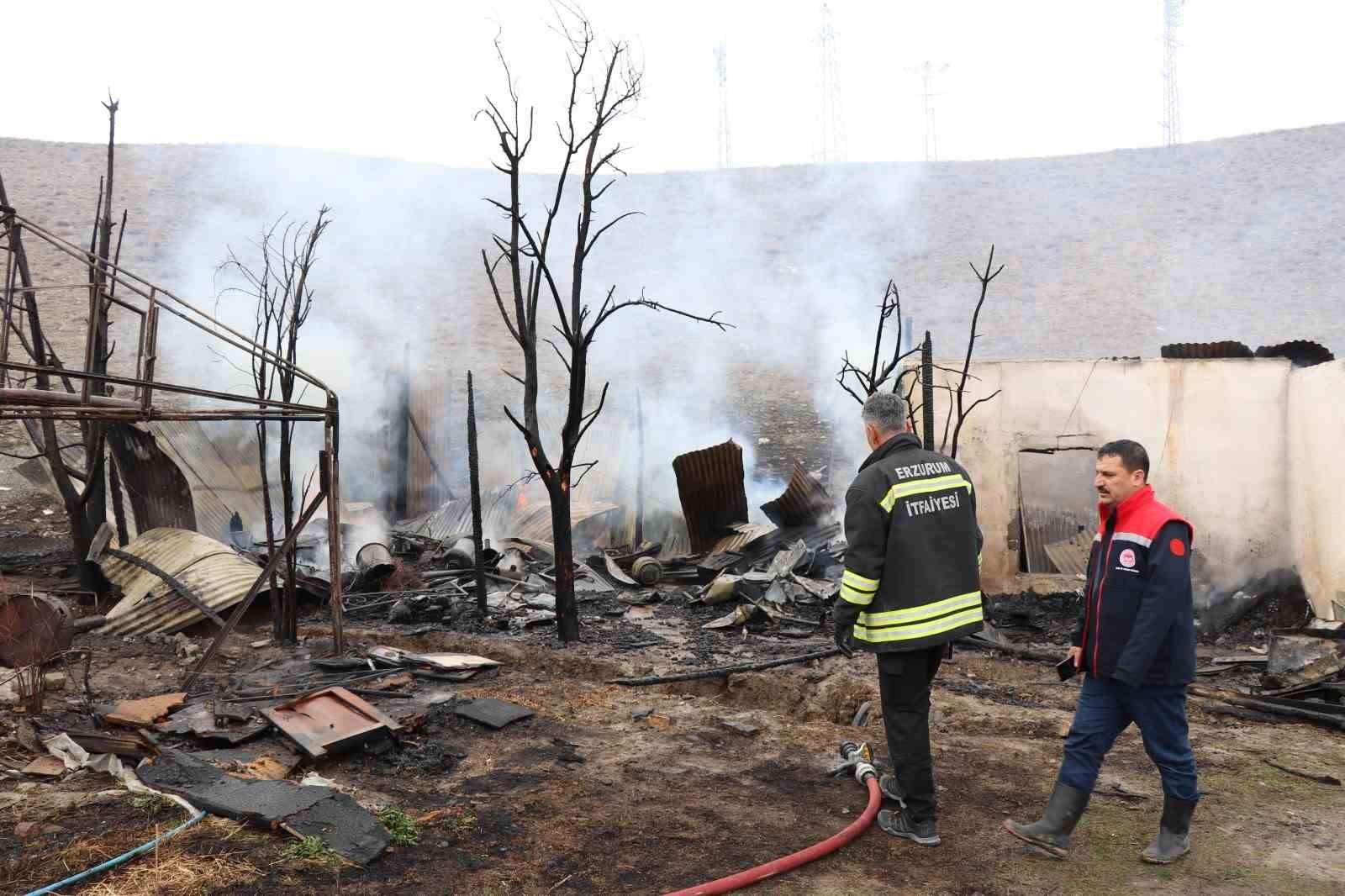 Oltu’da korkutan yangın: Arı kovanları yandı
