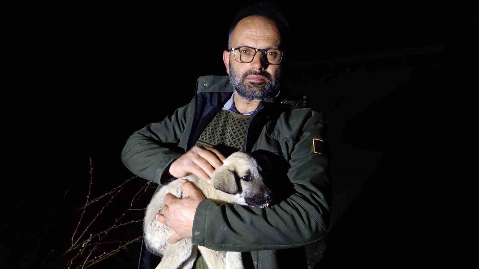 Ölüme terk edilmiş köpek yavrularına sahip çıktı
Ölüme terk edilmiş köpek yavrularına sahip çıktı