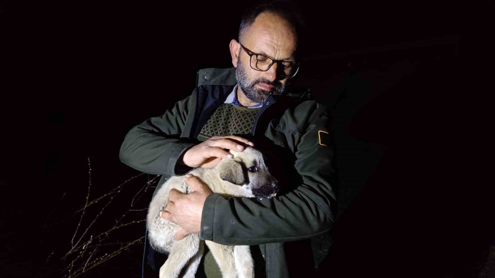 Ölüme terk edilmiş köpek yavrularına sahip çıktı
Ölüme terk edilmiş köpek yavrularına sahip çıktı