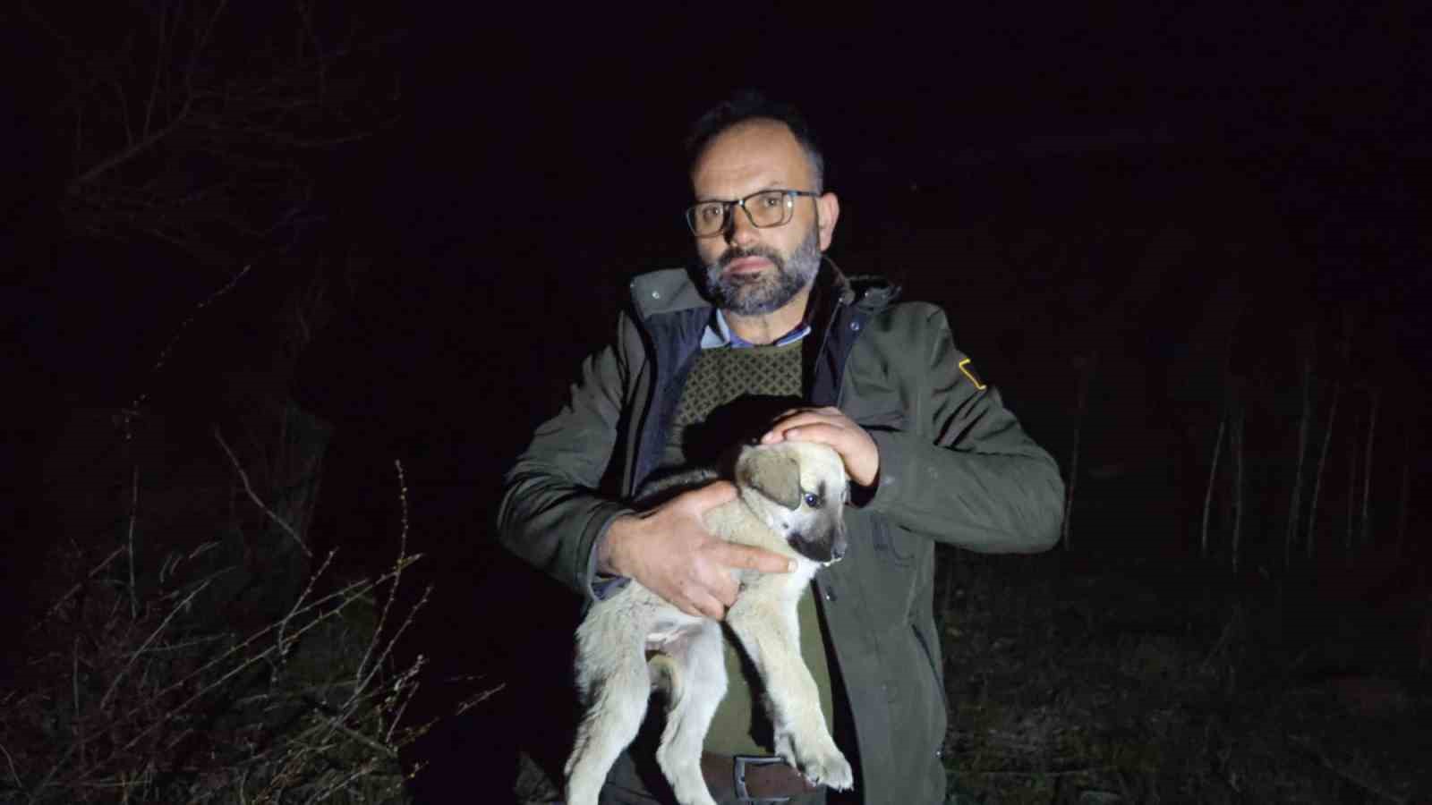 Ölüme terk edilmiş köpek yavrularına sahip çıktı
Ölüme terk edilmiş köpek yavrularına sahip çıktı