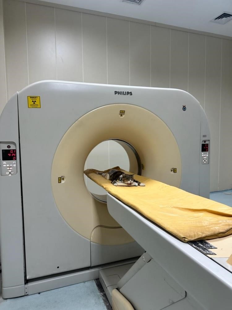 OMÜ Hayvan Hastanesi 2025’te 30 bin 842 hastaya hizmet verdi
