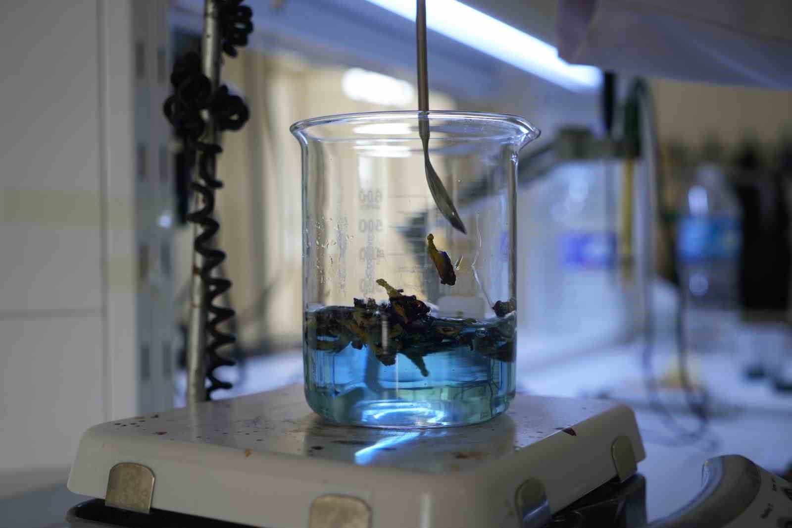 OMÜ projesiyle gıda endüstrisine pH duyarlı doğal renklendirici adayı
OMÜ projesiyle gıda endüstrisine pH duyarlı doğal renklendirici adayı