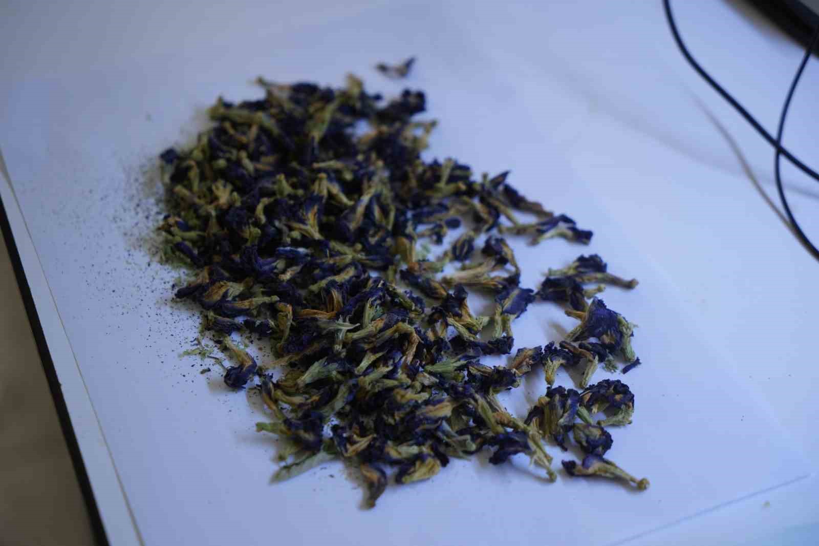 OMÜ projesiyle gıda endüstrisine pH duyarlı doğal renklendirici adayı
OMÜ projesiyle gıda endüstrisine pH duyarlı doğal renklendirici adayı