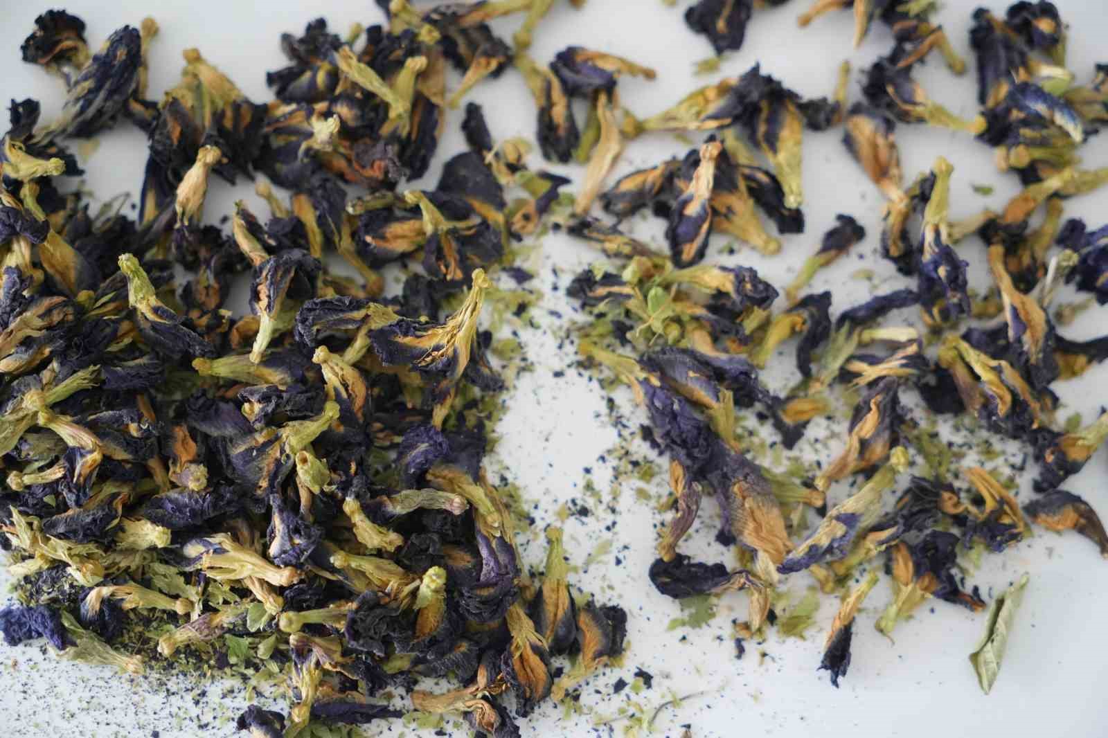 OMÜ projesiyle gıda endüstrisine pH duyarlı doğal renklendirici adayı
OMÜ projesiyle gıda endüstrisine pH duyarlı doğal renklendirici adayı