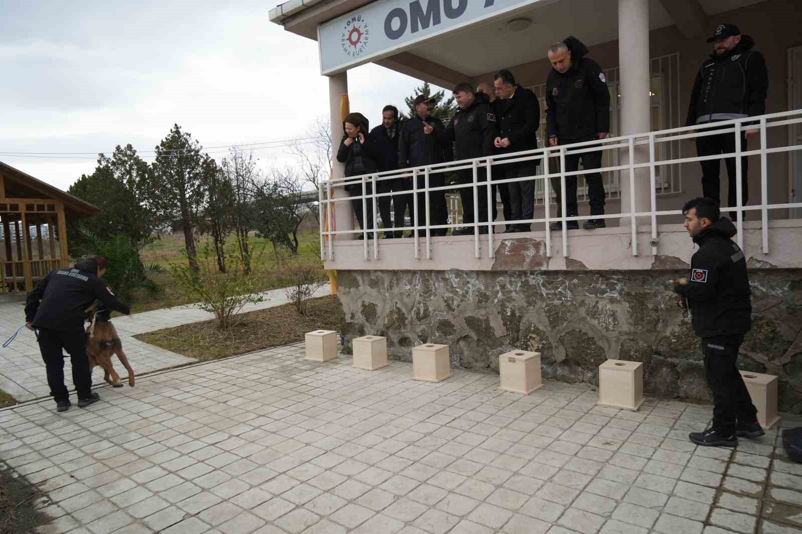 OMÜ’de yetiştirilen görev köpeği ’Pars’, Samsun Emniyeti’ne teslim edildi
