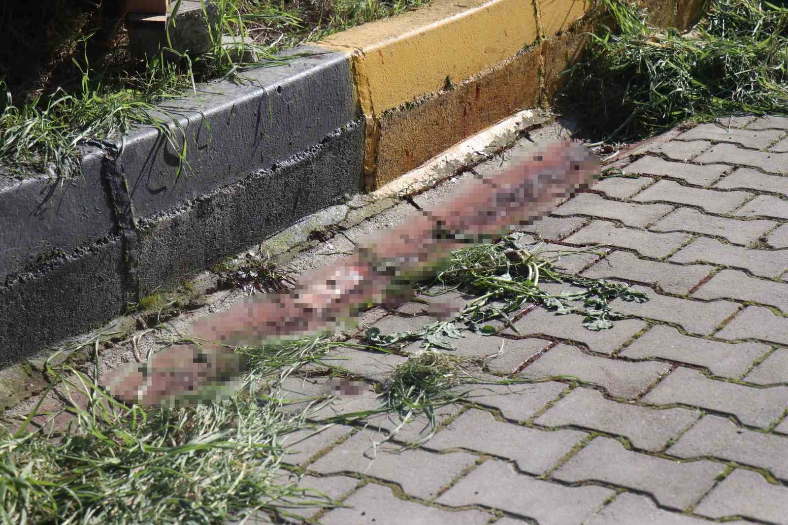 Önce eşini sonra kendini vurmuştu, defin tarihleri belli oldu
