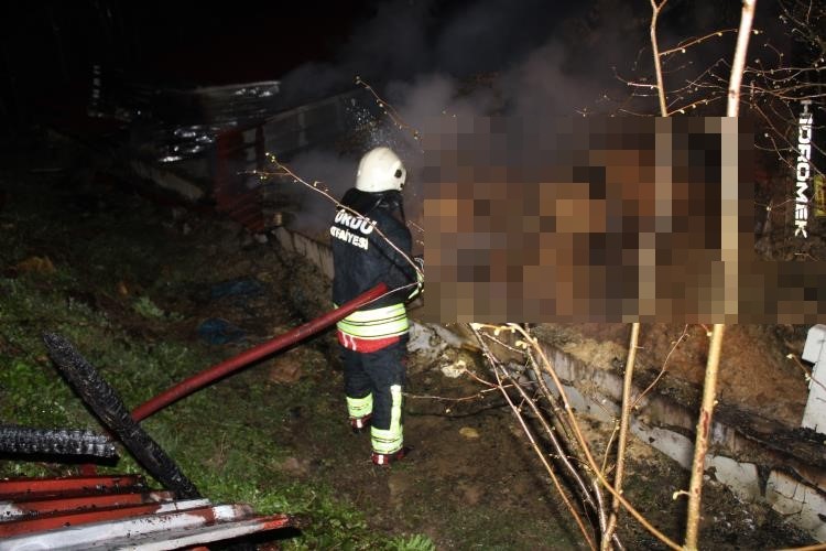 Ordu’da ahır yangını: 27 büyükbaş hayvan telef oldu
Ordu’da ahır yangını: 27 büyükbaş hayvan telef oldu