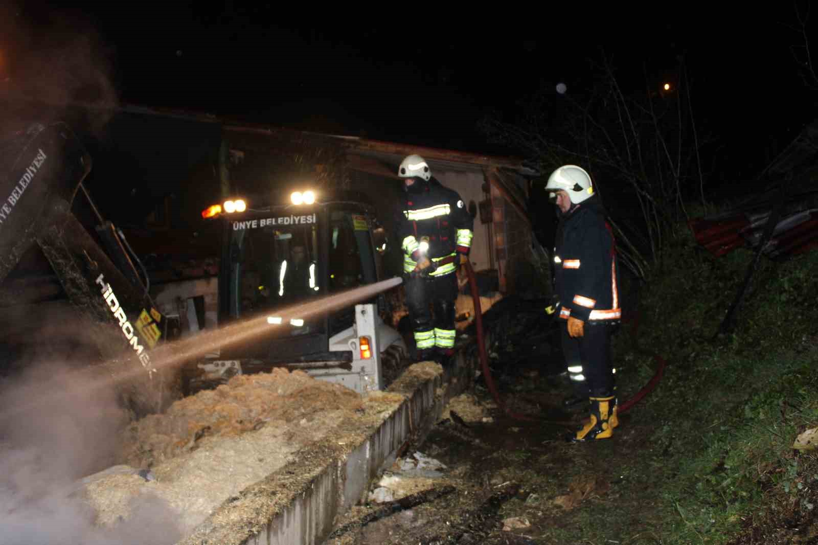 Ordu’da ahır yangını: 27 büyükbaş hayvan telef oldu
Ordu’da ahır yangını: 27 büyükbaş hayvan telef oldu