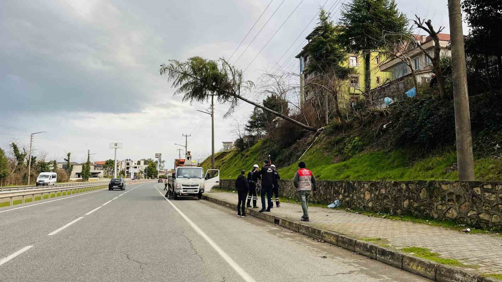 Ordu’da çam ağacı yüksek gerilim hattına devrildi
