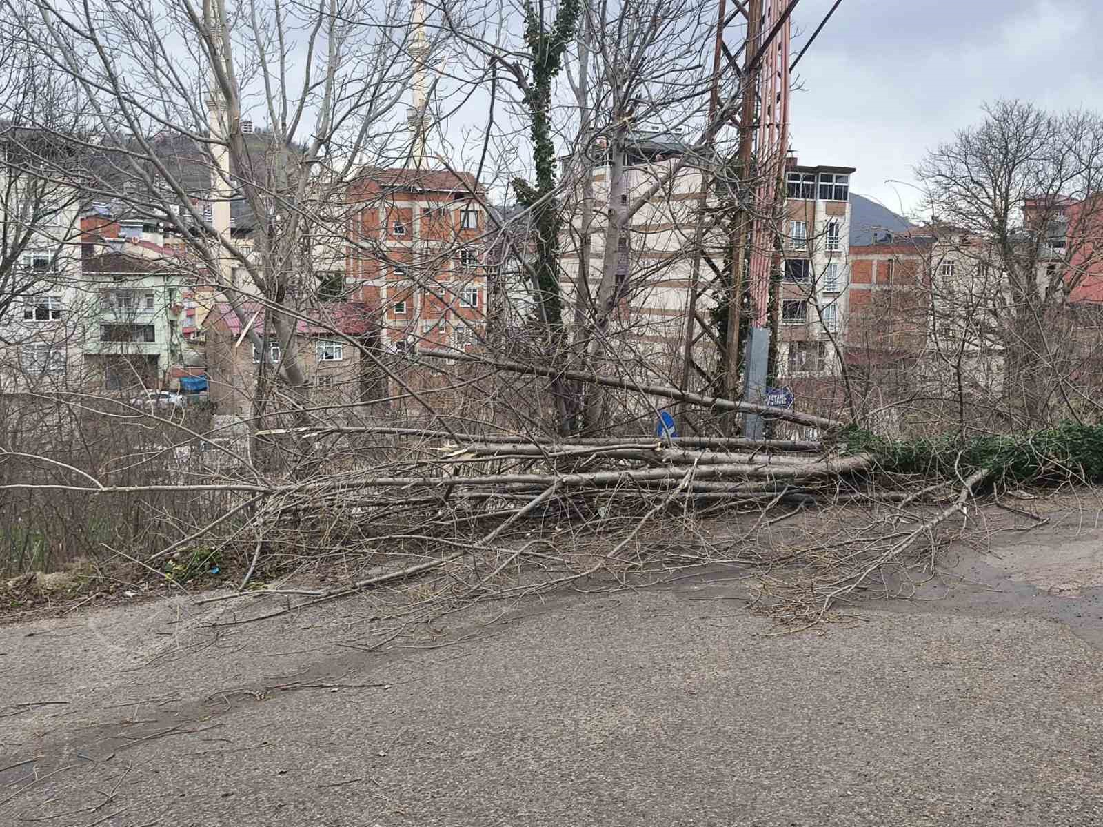 Ordu’da fırtına nedeniyle çatı uçtu, ağaç devrildi

