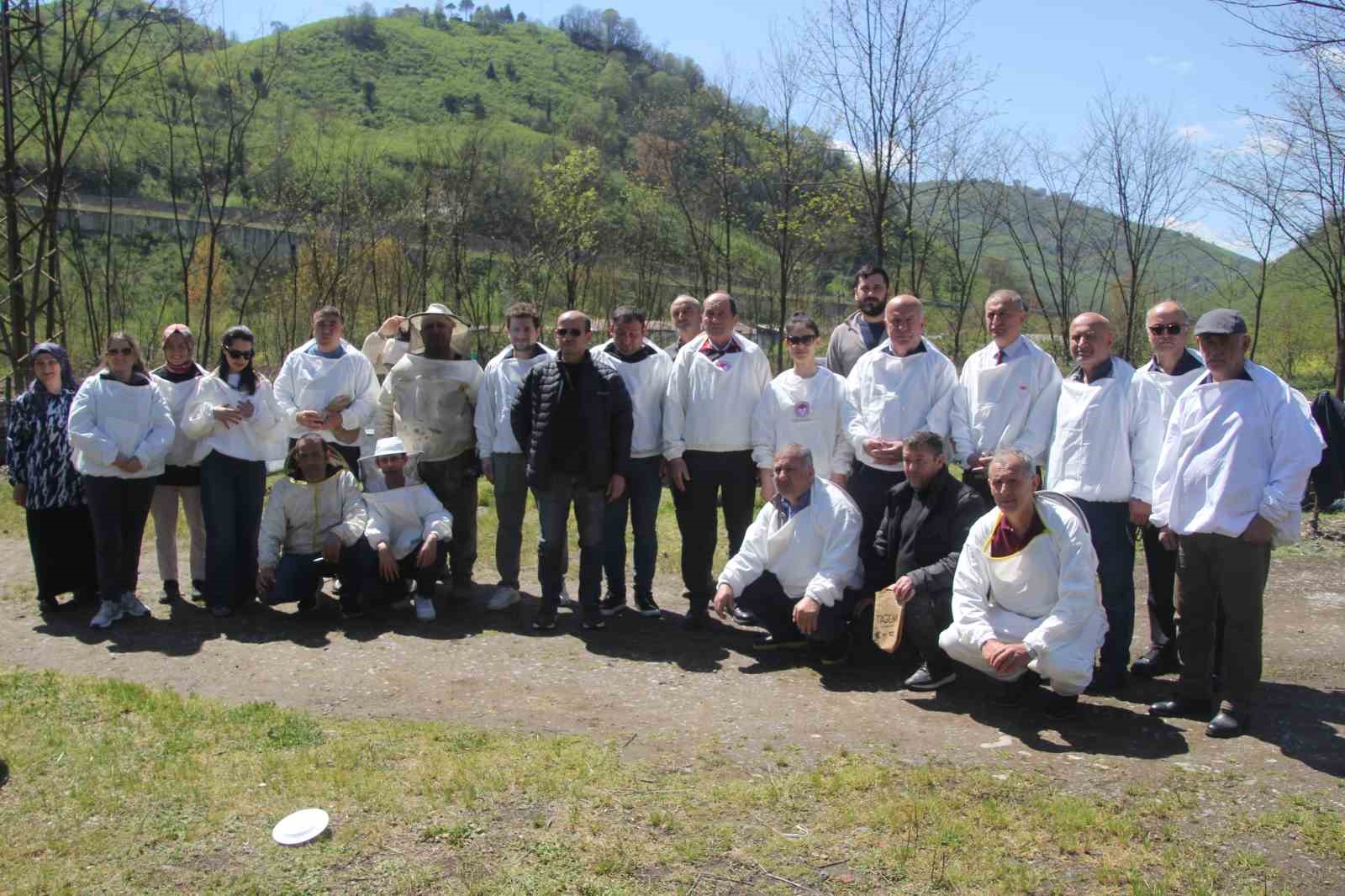 Ordu’da kraliçe arı hamlesi: Arıcılar hem üretecek hem satacak
