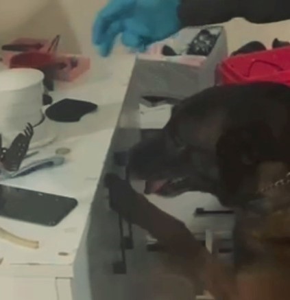 Ordu’da sokakta uyuşturucu satıcılarına operasyon: 3 tutuklama
