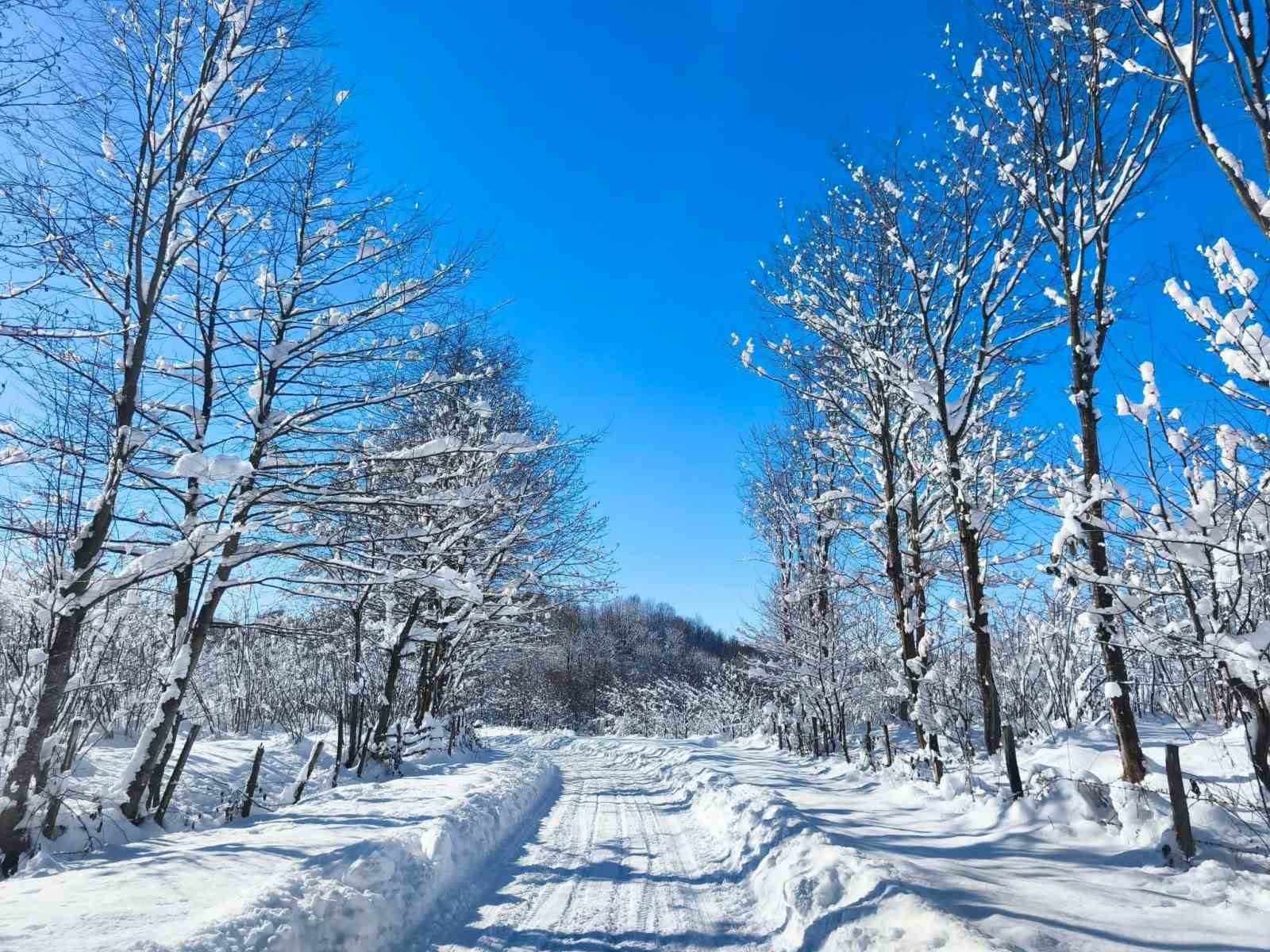 Ordu’nun yüksek kesimlerinde kar manzarası
