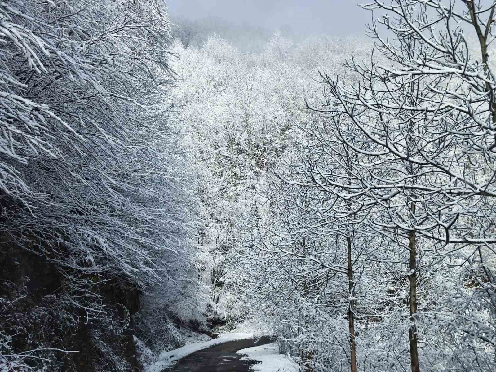 Ordu’nun yüksek kesimlerinde kar manzarası
