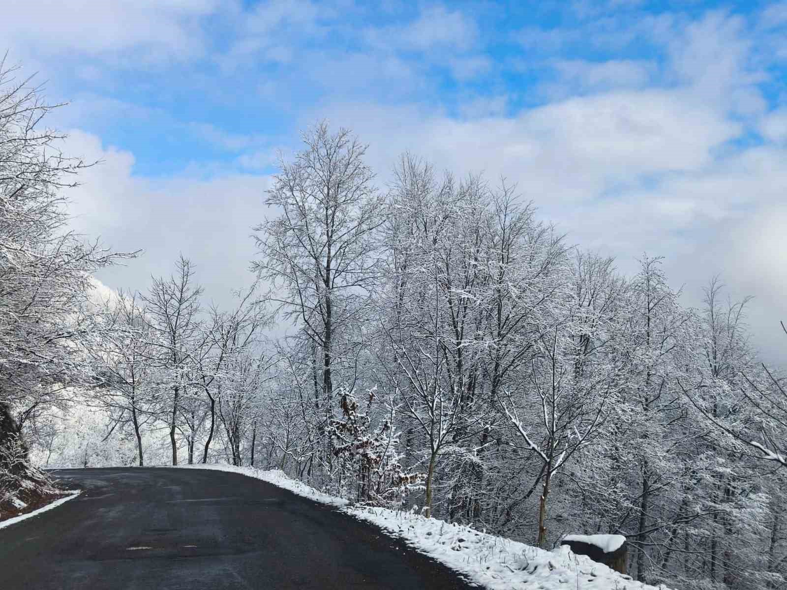 Ordu’nun yüksek kesimlerinde kar manzarası
