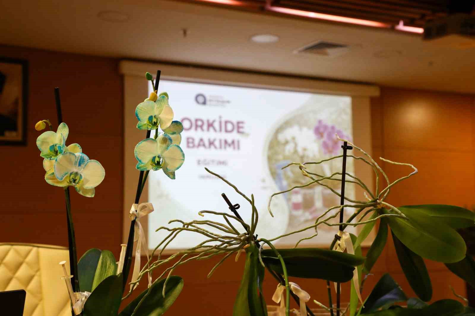 Orkide bakımı uygulamalı olarak anlatıldı

