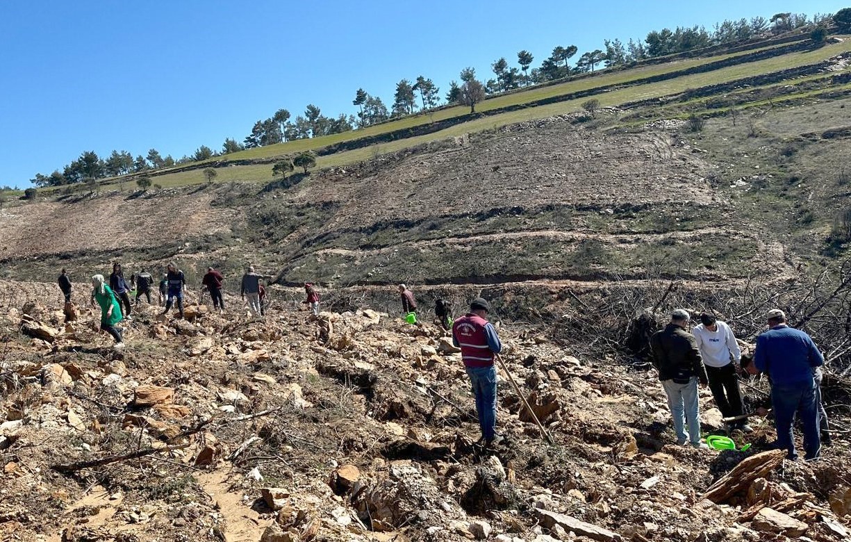 Orman Haftası’nda fidanlar toprakla buluştu
