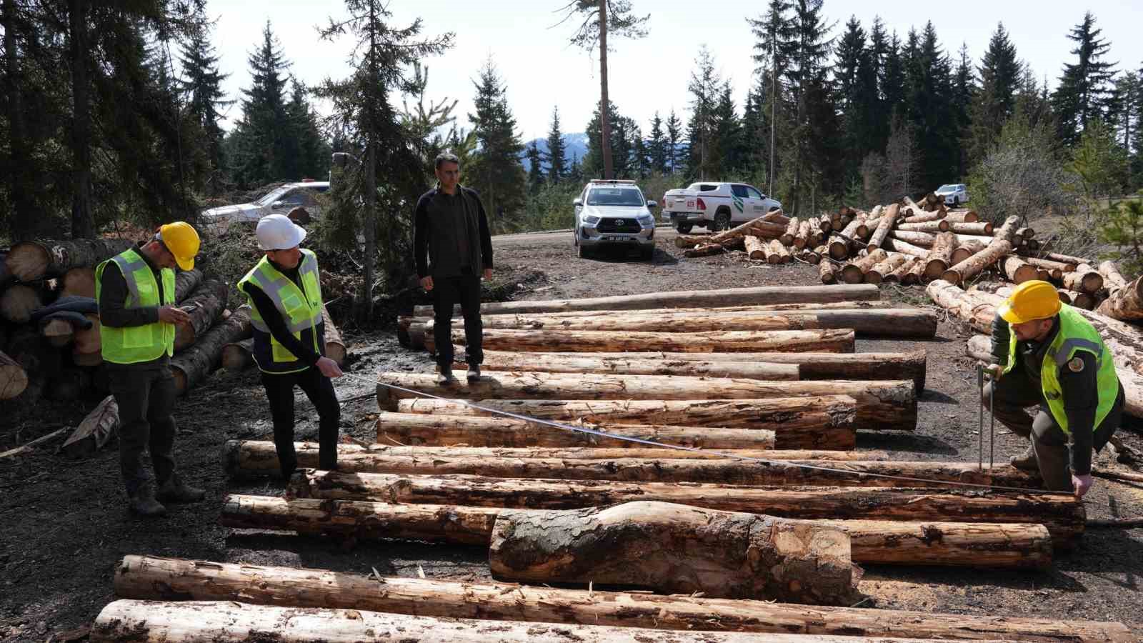 Orman işçileri zorlu etapları tamamladı
