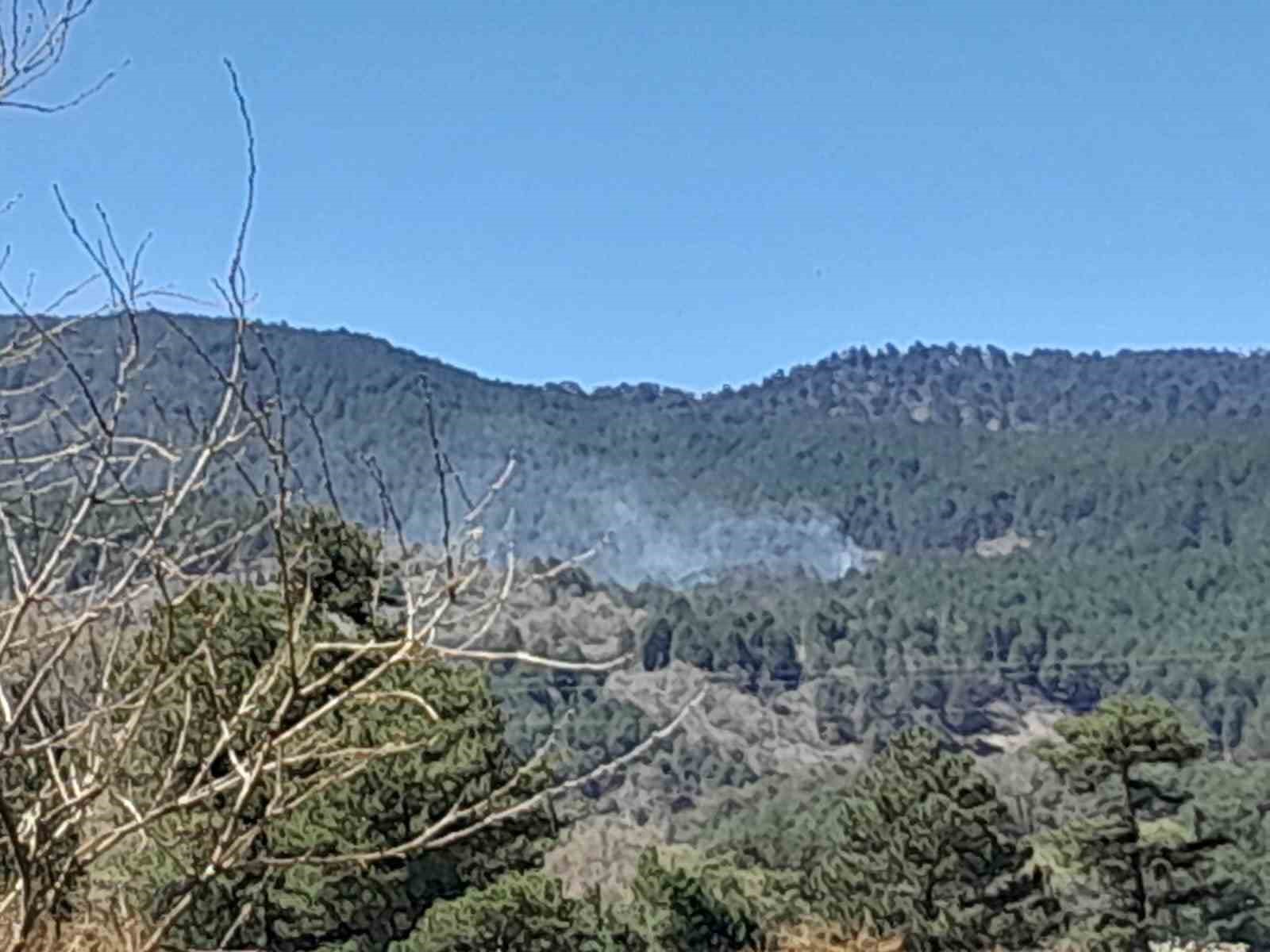 Orman yangını kontrol altına alındı
