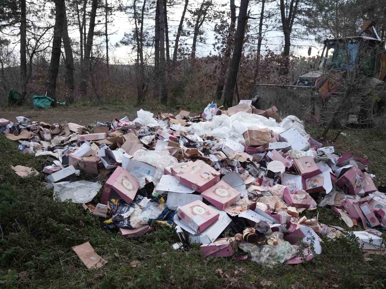 Ormanı çöplüğü çevirmişler
