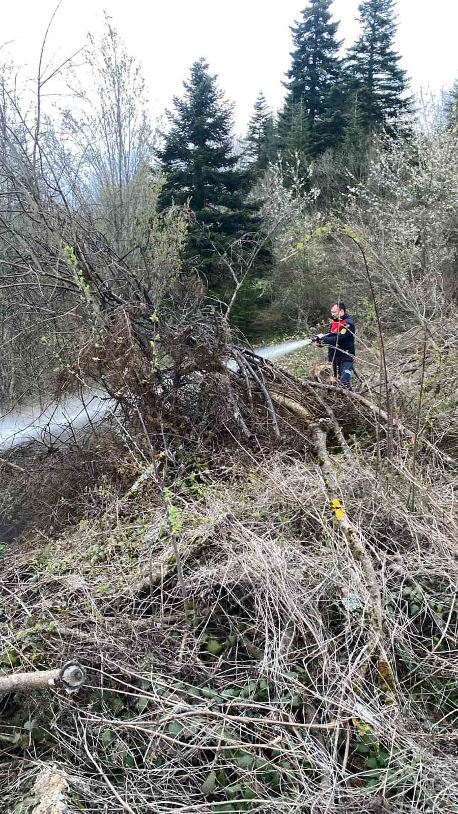 Ormanlık alanda çıkan yangın büyümeden söndürüldü
