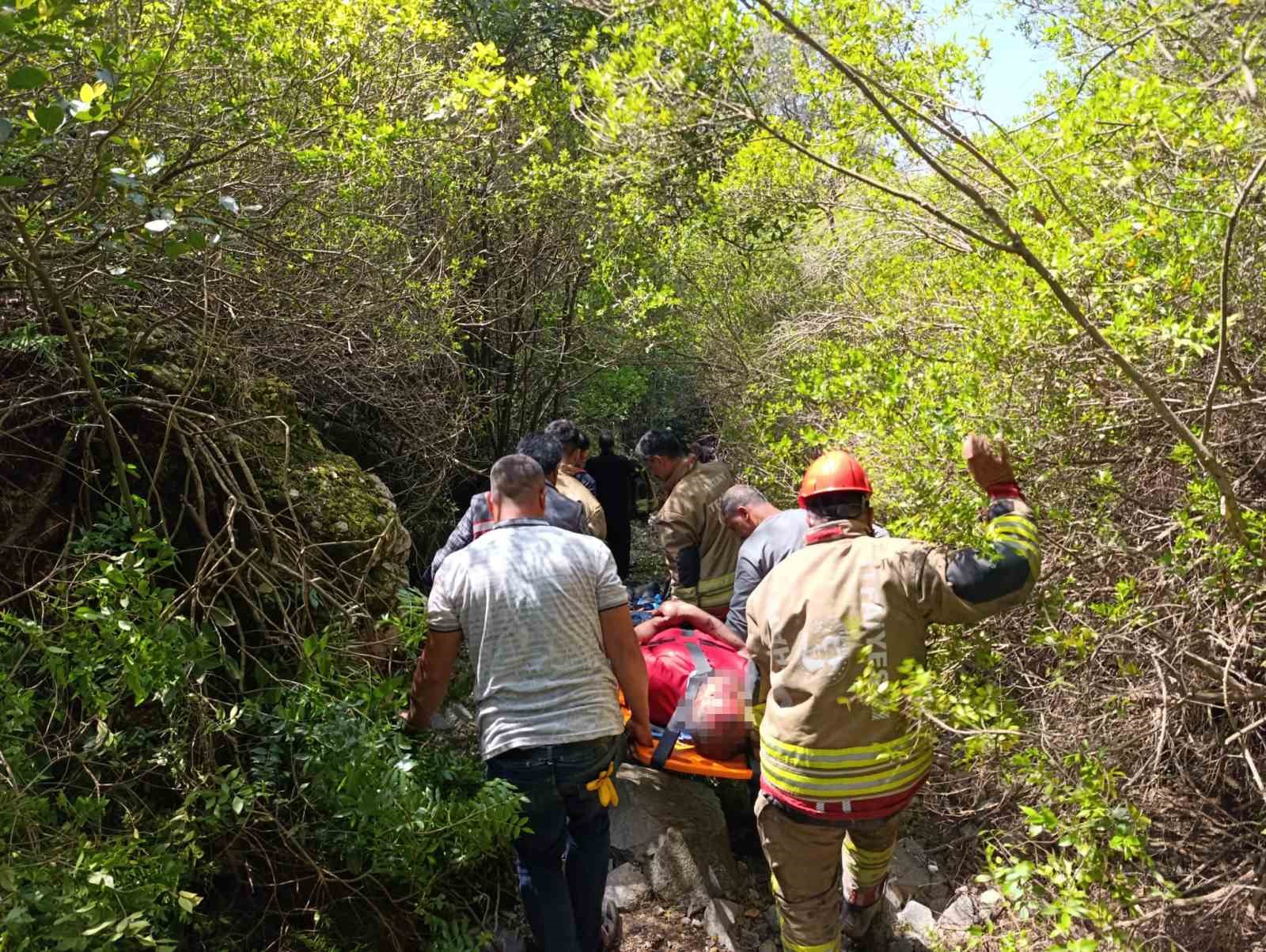 Ormanlık alanda uçurumdan düşen vatandaş yaralandı
