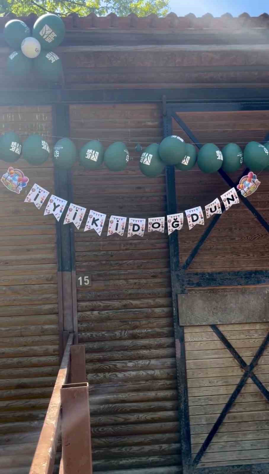 Ormanya’da doğan yavru deve için renkli kutlama
