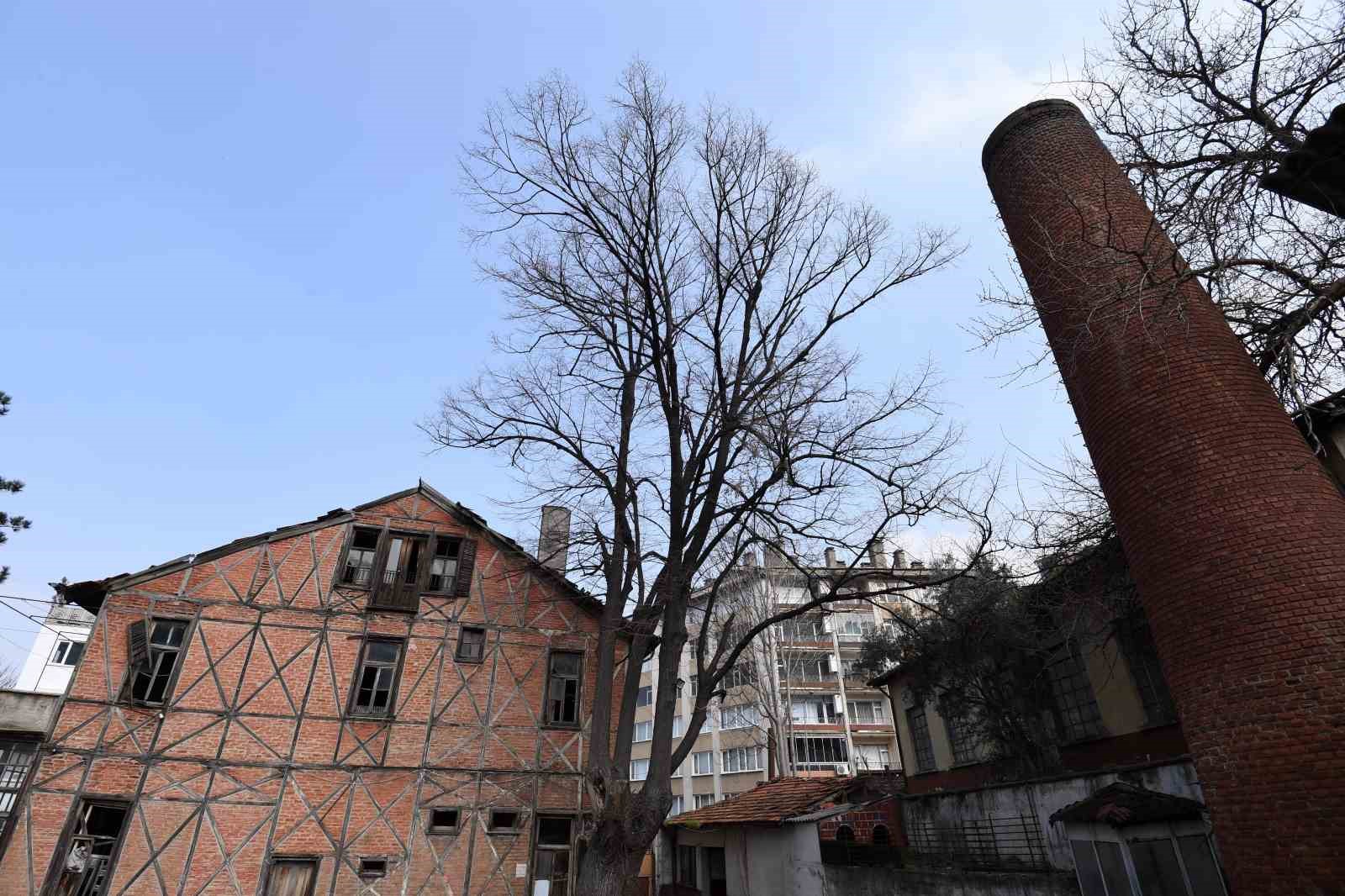 Osmangazi’de Roman Gal ve Arkeo Park projeleri Bursa’nın kültür hayatına kazandırılıyor
