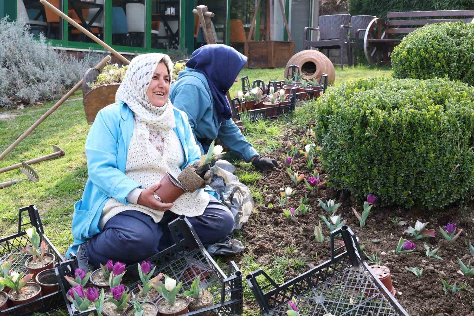 Osmangazi’nin her bir noktası çiçek açtı
