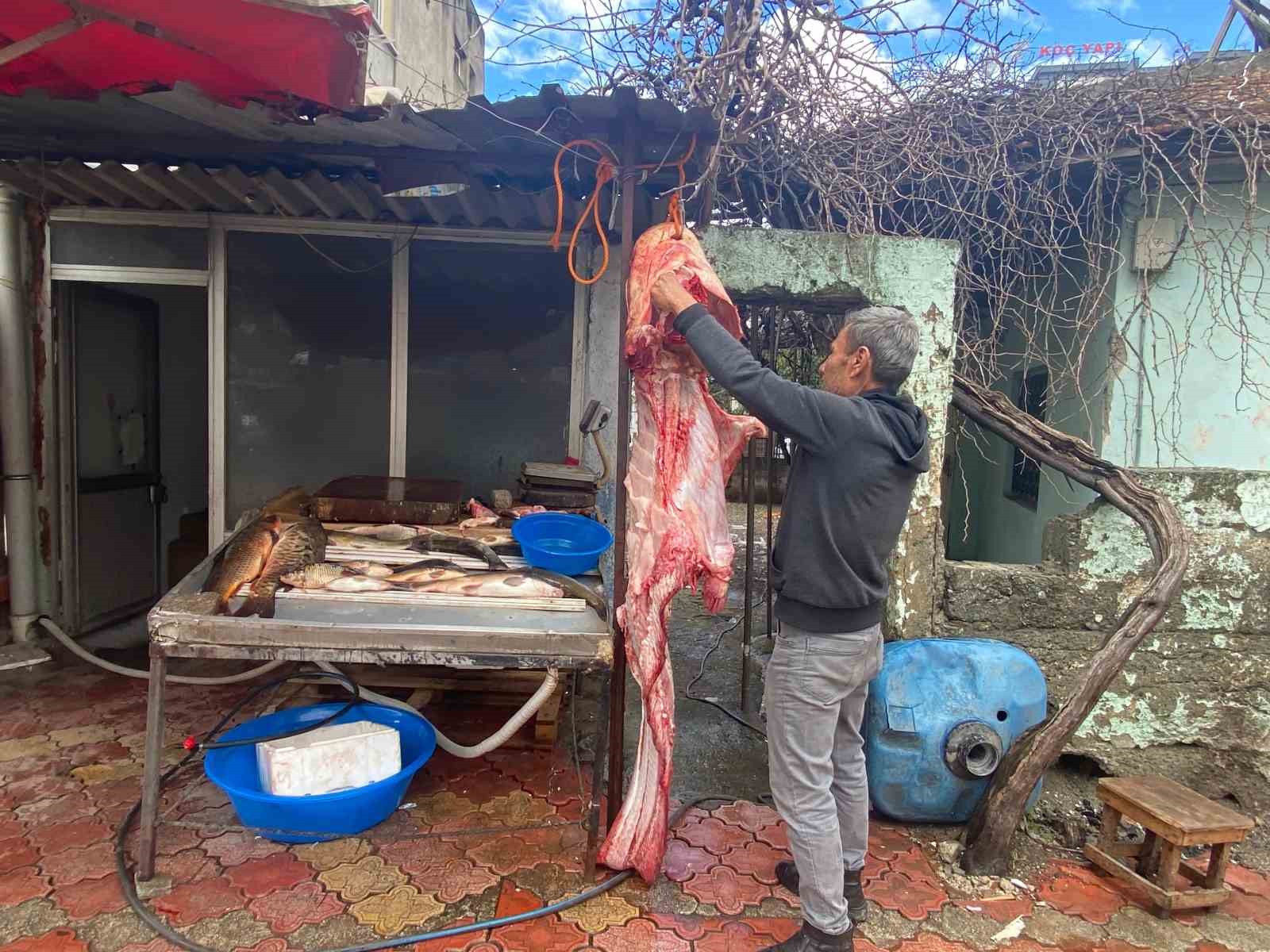 Osmaniye’de 2 metrelik dev yayın balığı vatandaşın ilgi odağı oldu
