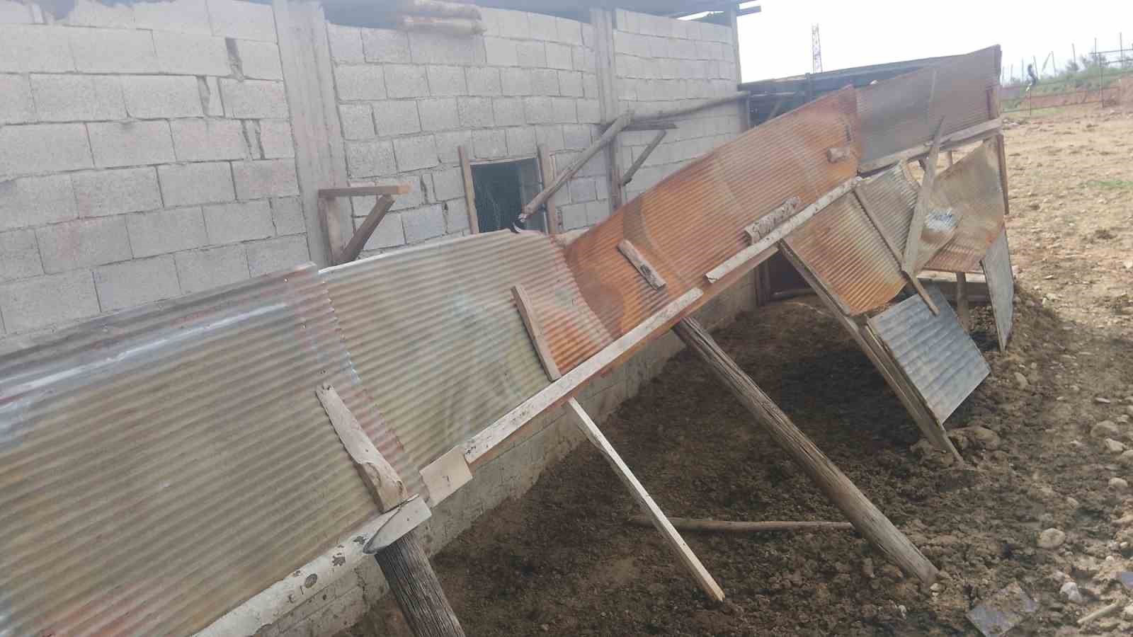 Osmaniye’de fırtına ahırın çatısını uçurdu
