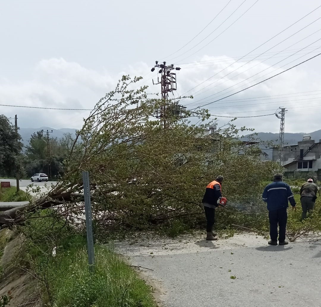 Osmaniye’de fırtına etkili oldu, devrilen ağaçlar yolları kapattı
