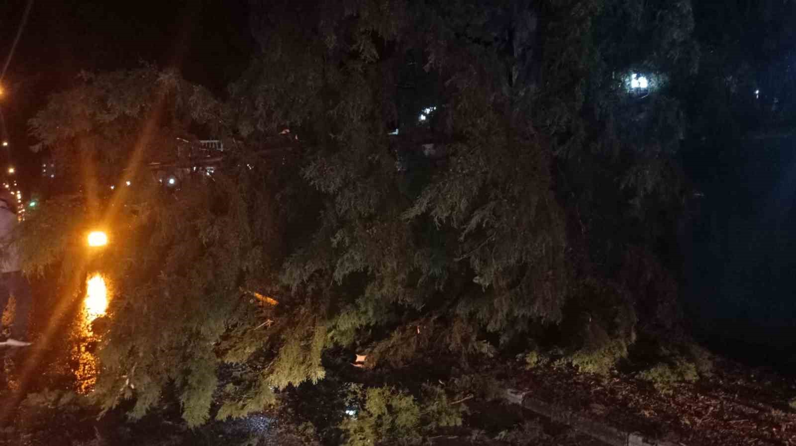 Osmaniye’de fırtına etkili oldu, devrilen ağaçlar yolları kapattı
