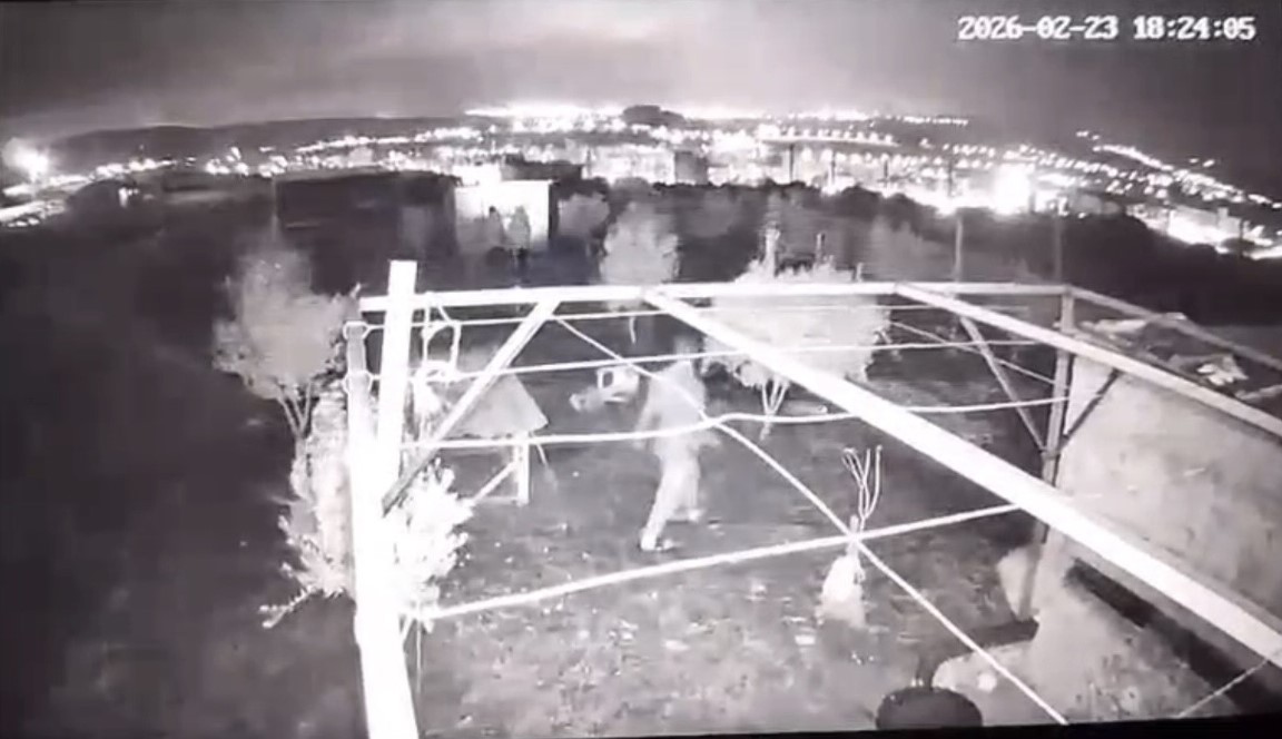 Osmaniye’de hobi bahçesine giren hırsızlar 25 güvercini çaldı
