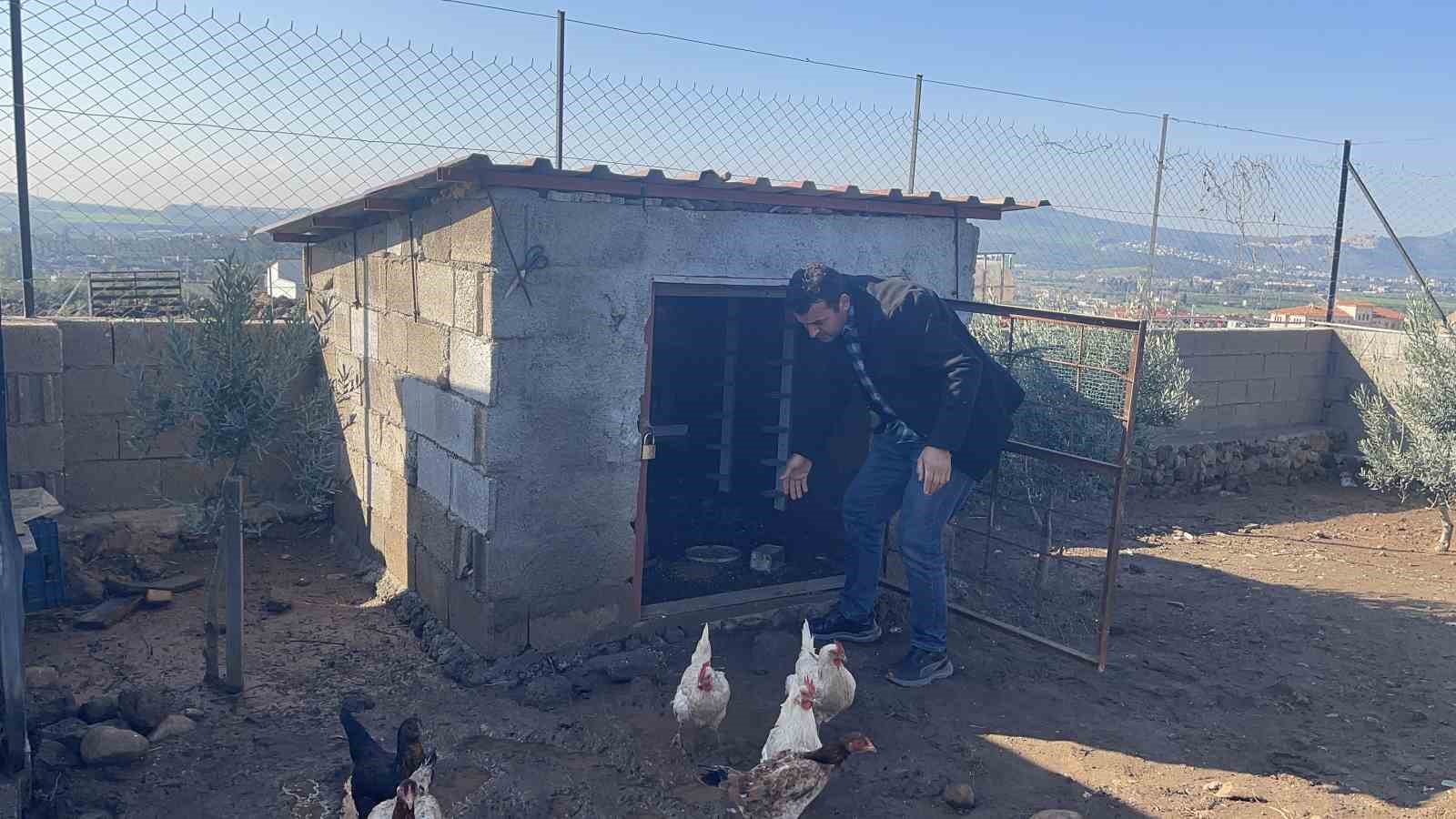 Osmaniye’de hobi bahçesine giren hırsızlar 25 güvercini çaldı
