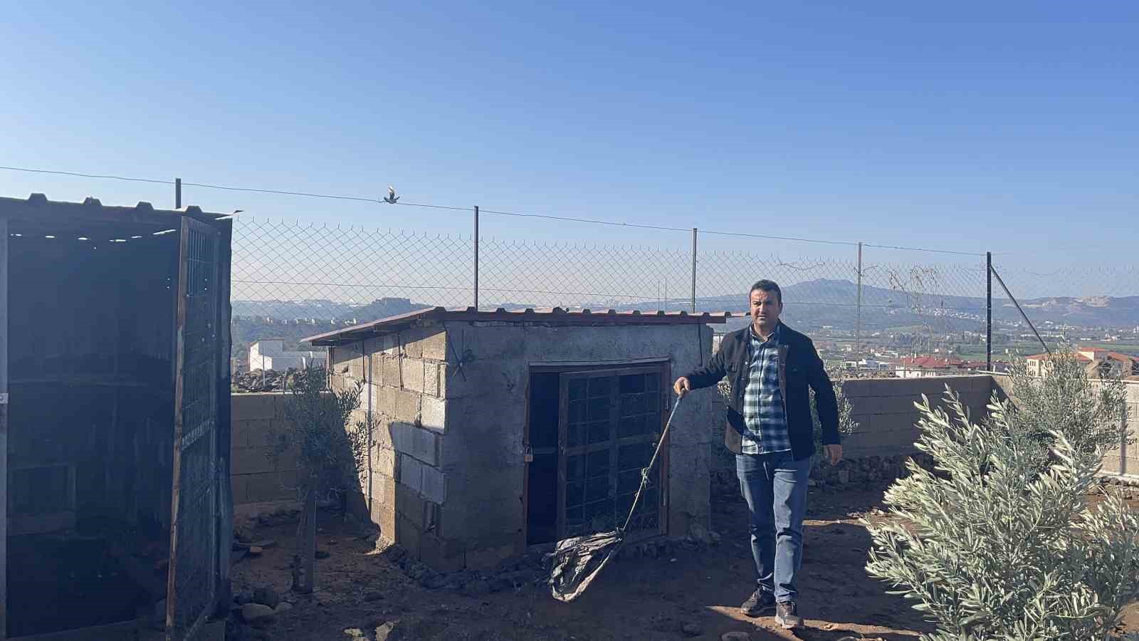 Osmaniye’de hobi bahçesine giren hırsızlar 25 güvercini çaldı
