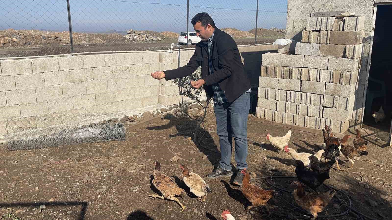 Osmaniye’de hobi bahçesine giren hırsızlar 25 güvercini çaldı
