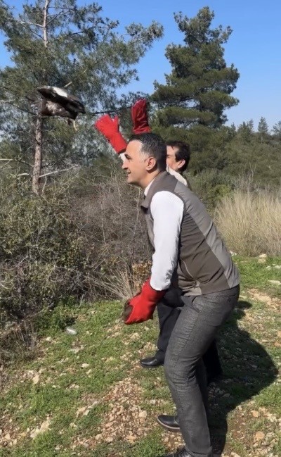 Osmaniye’de tedavileri tamamlanan şahinler, doğaya kanat çırptı
