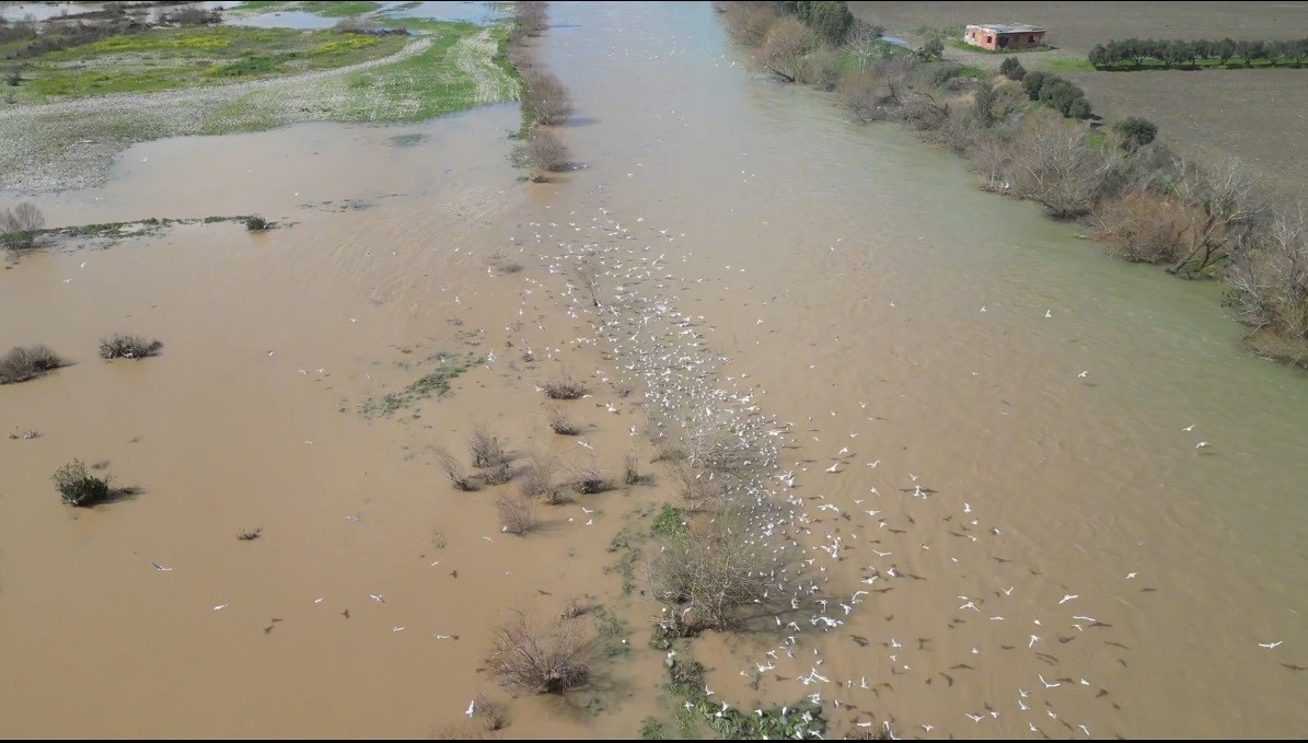 Osmaniye’de yağışlar sonrası Ceyhan nehri coştu
