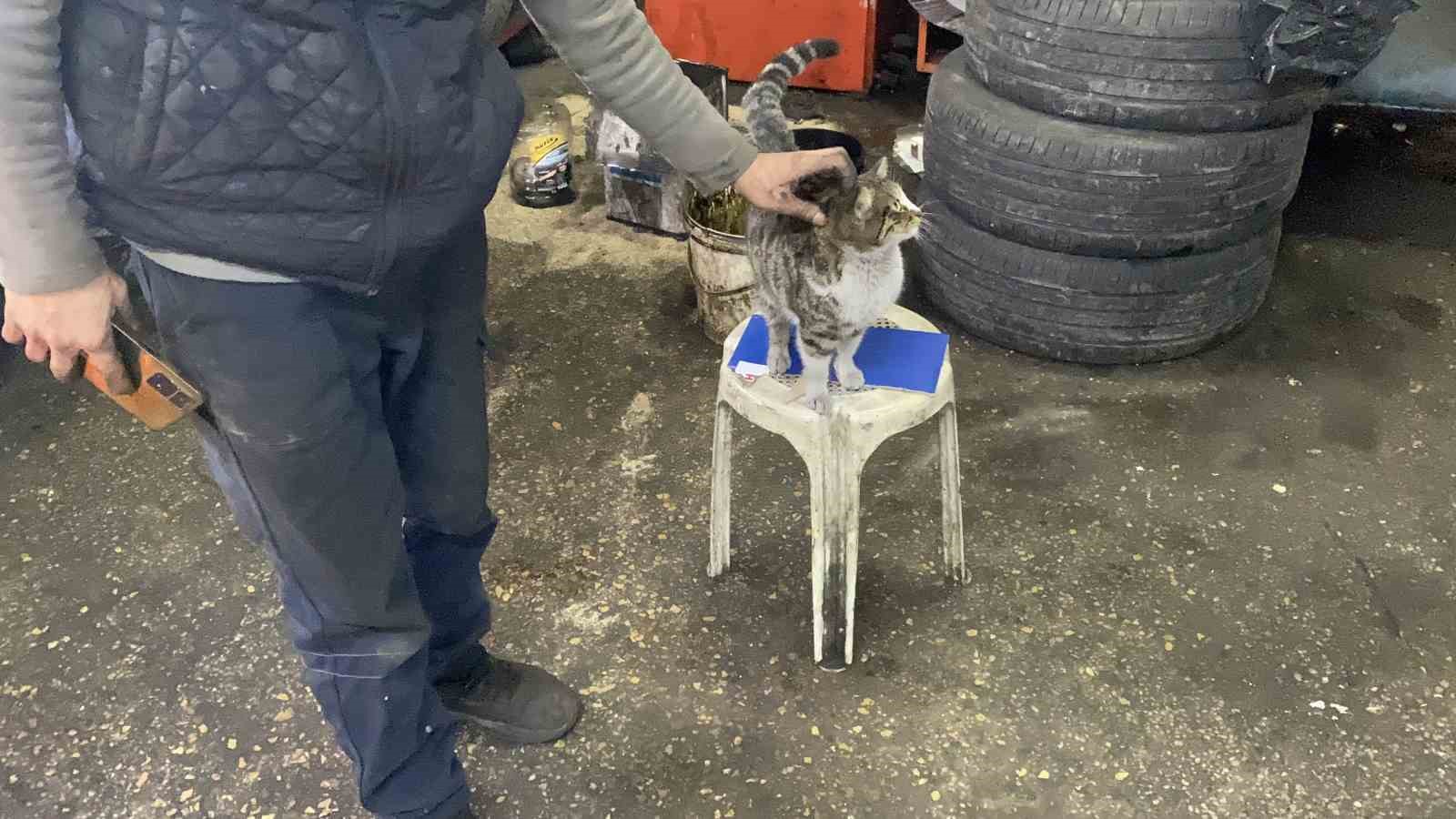 Oto tamircisinin en sadık çırağı "Şıkkıdı" oldu
