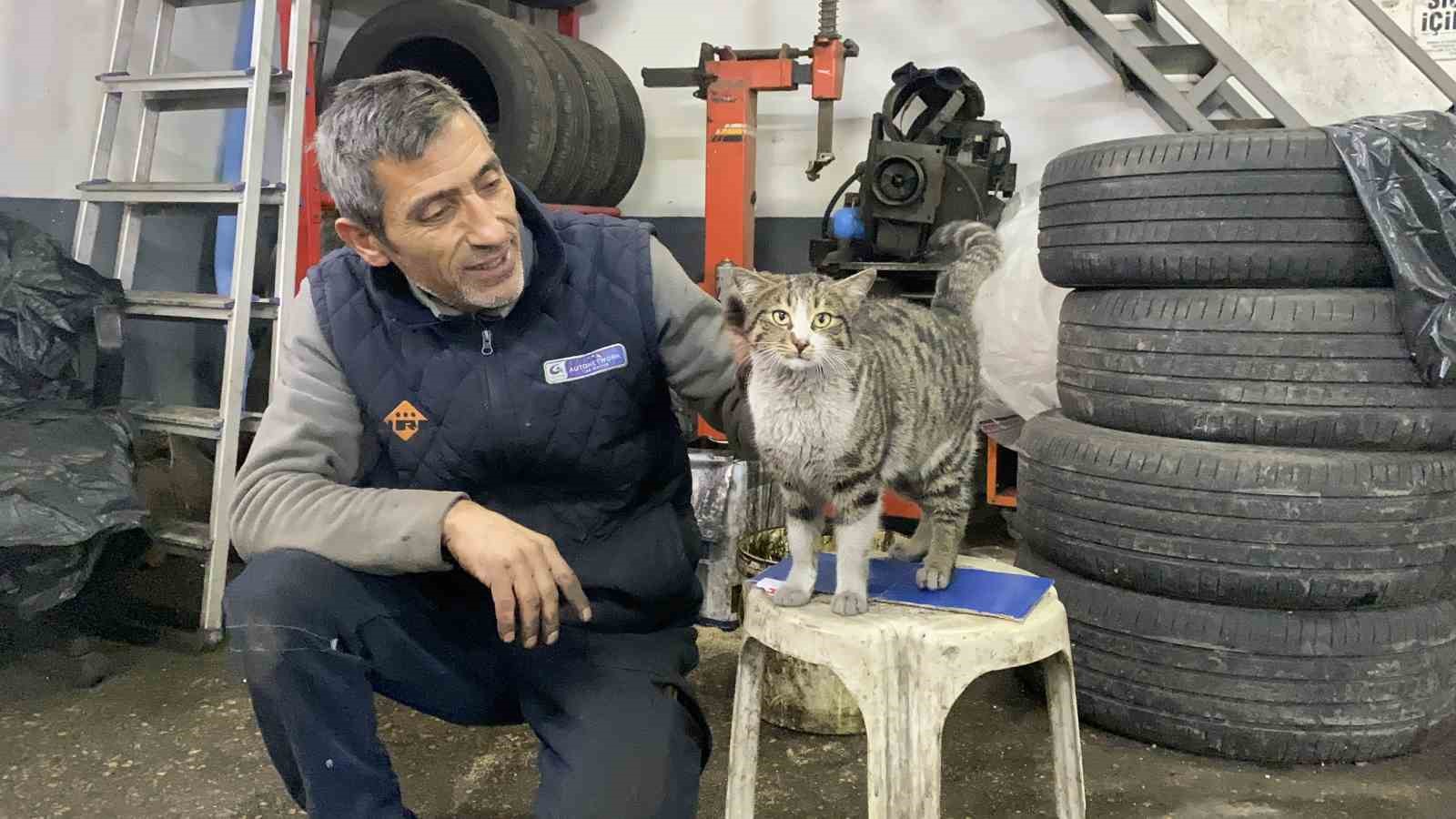 Oto tamircisinin en sadık çırağı "Şıkkıdı" oldu
