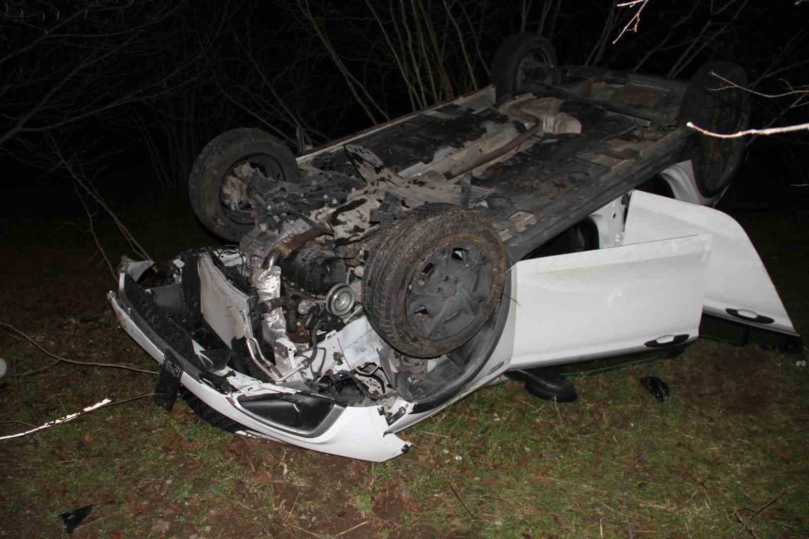 Otomobil fındık bahçesine uçtu: 2 yaralı
