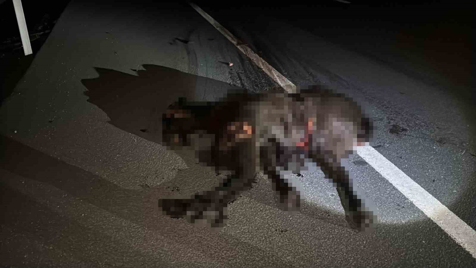 Otomobil kara yoluna çıkan ata çarptı: 3 yaralı
